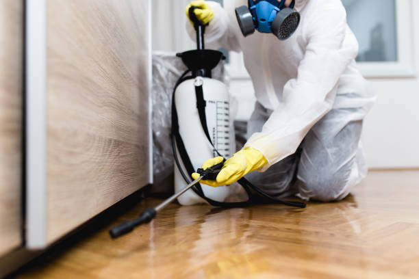 Best Residential Pest Control  in Hinton, OK
