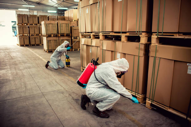 Best Residential Pest Control  in Hinton, OK