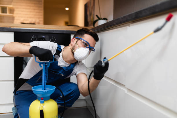 Best Pest Control for Restaurants  in Hinton, OK
