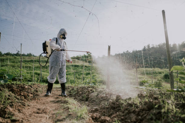 Best Local Pest Control Services  in Hinton, OK