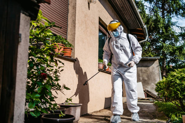 Best Pest Control for Homes  in Hinton, OK