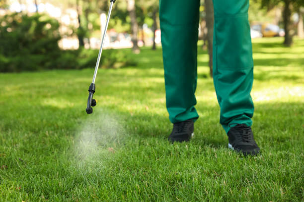 Best Termite Control Services  in Hinton, OK