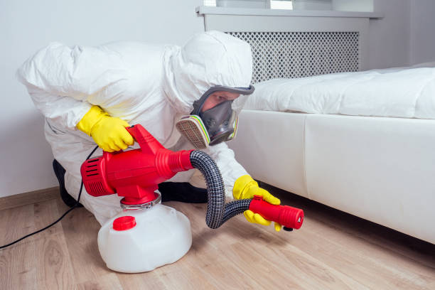 Best Affordable Pest Control Services  in Hinton, OK