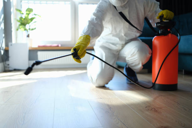 Best Exterminator Services  in Hinton, OK