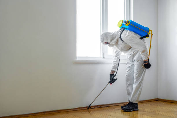 Best Affordable Pest Control Services  in Hinton, OK