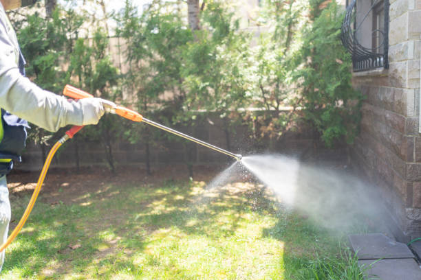 Best Exterminator Services  in Hinton, OK
