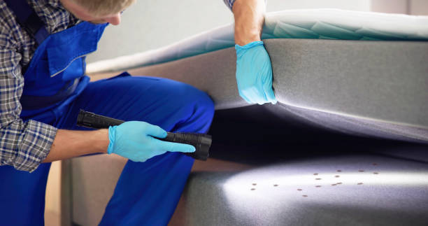 Trusted Hinton, OK Pest Control Experts