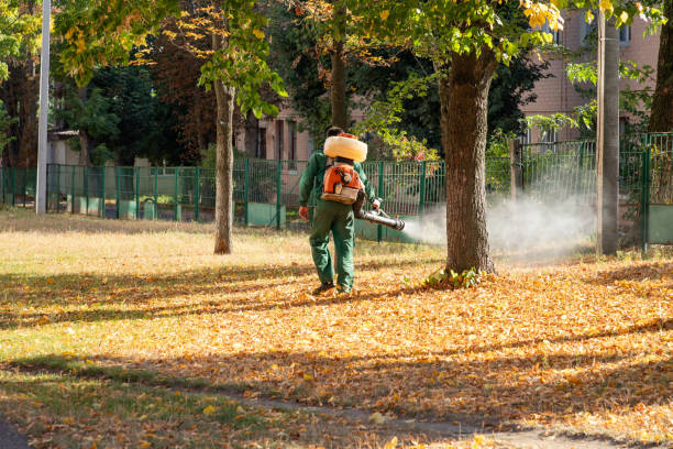 Best Exterminator Services  in Hinton, OK