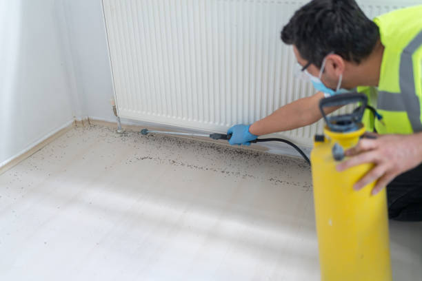 Professional Pest Control in Hinton, OK